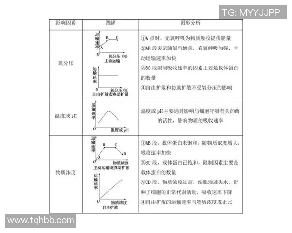 成都排球队区域防守分析及其对比赛结果的影响探讨